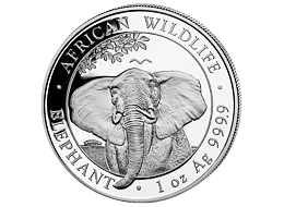 Stříbrná mince 100 Schillings Elephant (Slon africký) 1 Oz 2021 (African Wildlife Series)