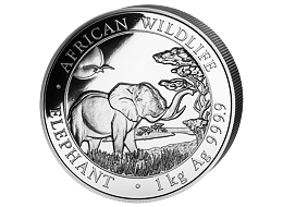 Stříbrná mince 2000 Schillings Elephant (Slon africký) 1 kg 2019 (African Wildlife Series)
