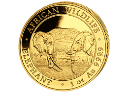 Zlatá mince 1000 Schillings Elephant (Slon africký) 1 Oz 2020 (African Wildlife Series)