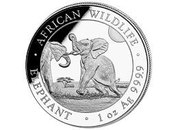 Stříbrná mince 100 Schillings Elephant (Slon africký) 1 Oz 2024 (African Wildlife Series)