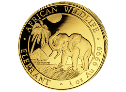 Investiční zlato - zlatá mince 1000 Schillings Elephant (Slon africký) 1 Oz 2017 (African Wildlife Series)