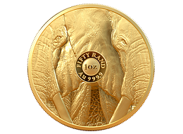 Exkluzivní zlatá mince Big Five - Elephant (Slon) 1 Oz 2019 PROOF - (1.)