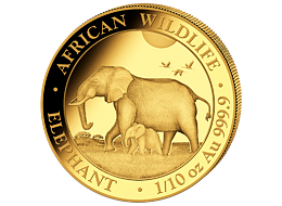 Zlatá mince 100 Schillings Elephant (Slon africký) 1/10 Oz 2022 (African Wildlife Series)