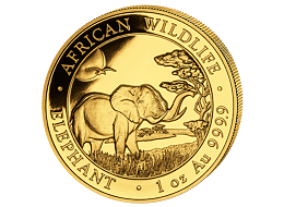 Investiční zlato - zlatá mince 1000 Schillings Elephant (Slon africký) 1 Oz 2019 (African Wildlife Series)