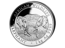 Stříbrná mince 2000 Schillings Elephant (Slon africký) 1 kg 2020 (African Wildlife Series)