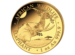 Zlatá mince 1000 Schillings Elephant (Slon africký) 1 Oz 2023 (African Wildlife Series)