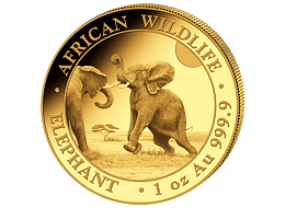 Zlatá mince 1000 Schillings Elephant (Slon africký) 1 Oz 2024 (African Wildlife Series)