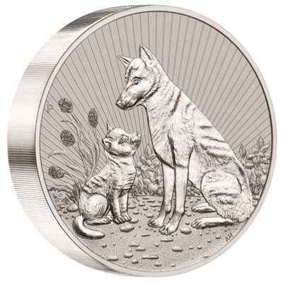 Stříbrná mince 10 Oz Dingo 2022 Piedfort Next Generation - (5.)
