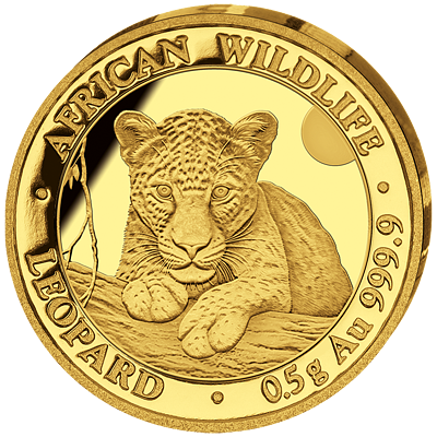 Zlatá mince Leopard 0,5g 2025 (African Wildlife Series)