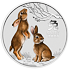 Lunární série III. - stříbrná mince Year of the Rabbit (Rok králíka) 5 Oz 2023 Color