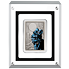 Stříbrná mince Batman™ - The Kiss 1 Oz 2020 Antique - (4.)